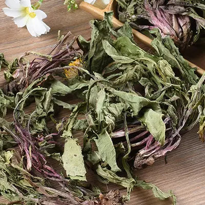 Dried medicinal herbs including tangerine peel for colon cleansing tea in traditional Chinese medicine