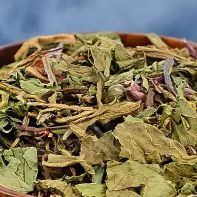 Dried green herbs in Gout Tea with poria cocos for herbal tea and antioxidant benefits