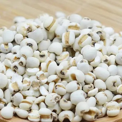 Pile of white Job’s tears in herbal tea supporting detox and supporting detoxification processes