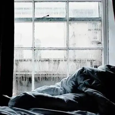 Cozy bed by foggy window with Red Bean Barley Tea supporting detoxification processes