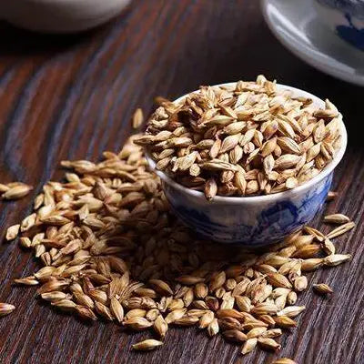 Malted barley in bowl for supporting detoxification in herbal tea with tangerine peel