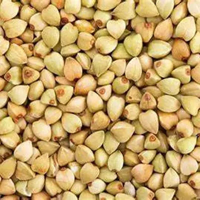 Pile of pale buckwheat groats in Redwood Barley Tea for supporting detoxification processes