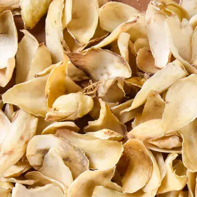 Dried lily bulbs for Gout Tea Herbal Tea with poria cocos and antioxidant benefits