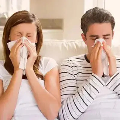 Sick couple blowing noses enjoying Sleep Tea with Pina Date Seed Herbal Tea for better sleep quality
