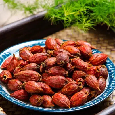 Pile of dried reddish-brown gardenia fruits for herbal tea promotes digestion during golden hour