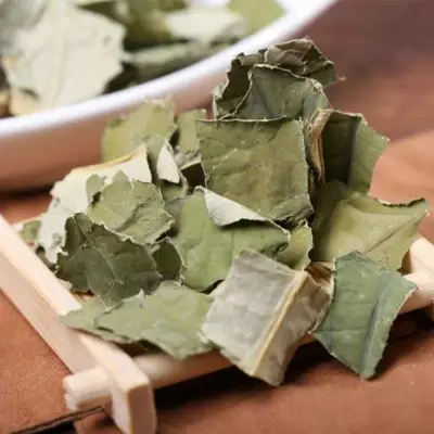 Dried green lotus leaves for Slimming Tea promoting intestinal motility during golden hour