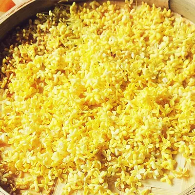 Fragrant yellow Osmanthus blossoms for Liver Detox herbal tea with chrysanthemum cassia seed