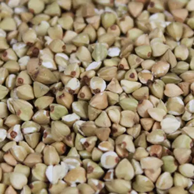 Pile of raw buckwheat groats in herb tea for detox supporting detoxification processes