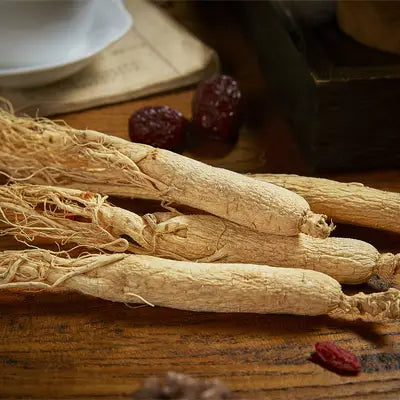 Dried ginseng roots for kidney health and renal protection in herbal tea blend
