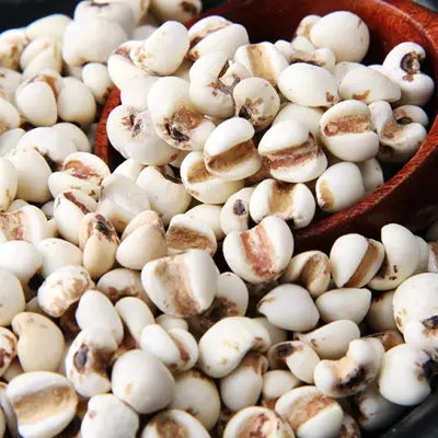 Pile of white Poria Cocos for Gout Tea herbal tea with antioxidant properties