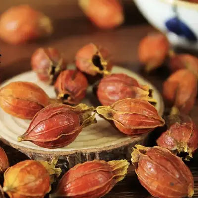 Dried reddish-orange Gardenia fruits in Gout Tea herbal tea with antioxidant properties