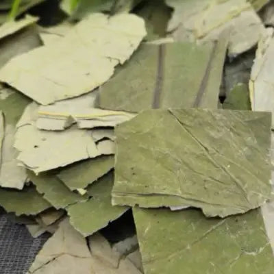 Dried cut Lotus leaves for colon cleansing tea with tangerine peel in traditional Chinese medicine