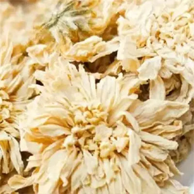 Dried chrysanthemum flowers in Lung Tea Herbal Tea for cough relief with siraitia grosvenorii and boat-fruited sterculia