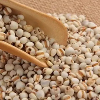 Pile of Job’s Tears with wooden scoop in Red Bean Barley Tea supporting detox processes