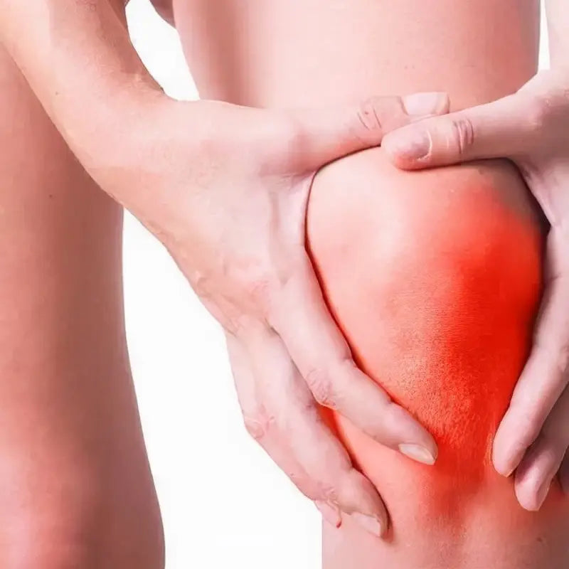 Inflamed knee held for relief from gout with Gout Tea herbal tea featuring Poria Cocos and antioxidants