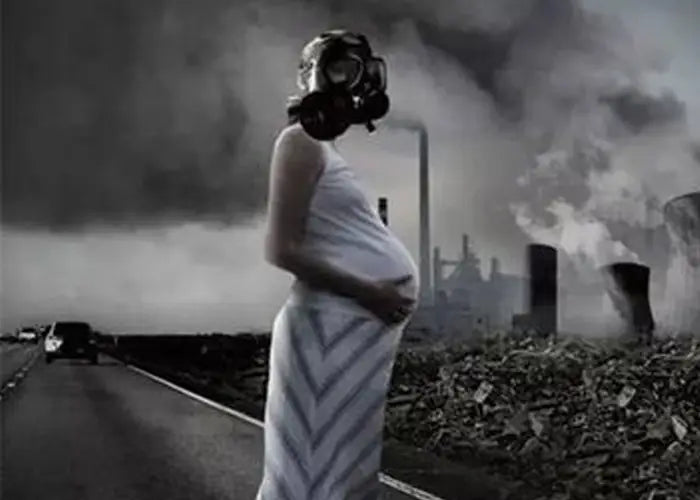 Pregnant woman wearing gas mask for cough relief with Lung Tea herbal tea, siraitia grosvenorii, boat-fruited sterculia