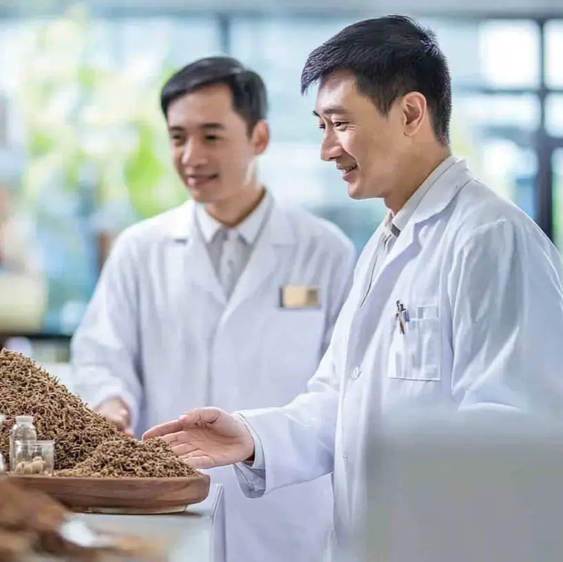 Scientists examining dried herbs for traditional herbal medicine and modern nutrition research